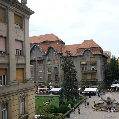 Historic In Loeffler Palace * Timisoara