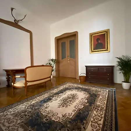 Historic In Loeffler Palace * Timisoara