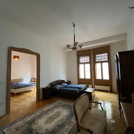 Historic In Loeffler Palace Apartment *
